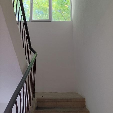 Apartman Sonja Hostel ดูบรอฟนิก ภายนอก รูปภาพ